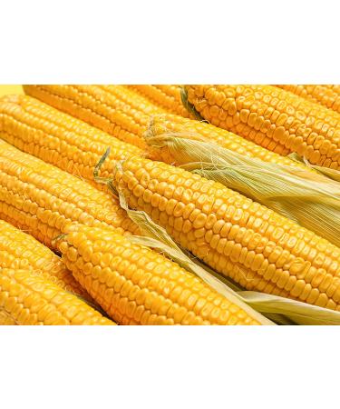 Organic Old Fashioned Cornmeal 2.5 Pounds - Non-GMO Whole Grain Meal - Vegan & Kosher - Made in USA - Great for Baking Cornbread, Pancakes, & Tortillas - Buy Online on SooperMarket.com