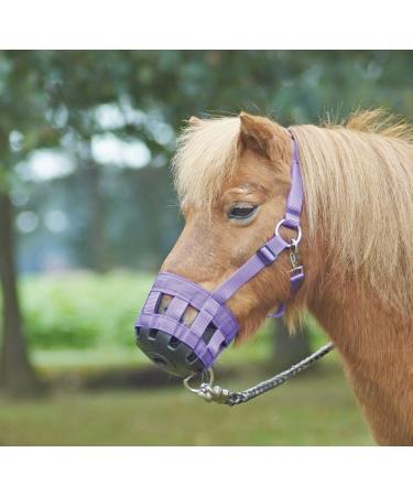 Busse Fressbremse Classic royal blue Pony