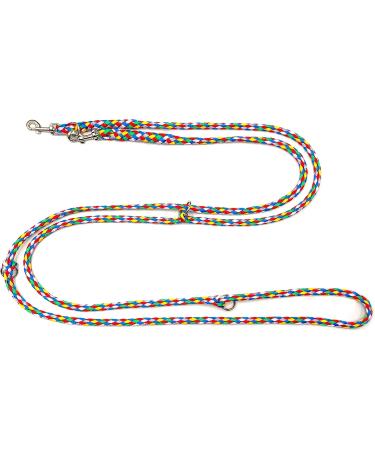 Lightweight & Durable 4-Way Adjustable Dog Leash for Small Dogs (Up to 15kg) - 2.40m 2.80m & 3.50m Options in 5 Colors | International Shipping Available - Buy Online on SooperMarket.com