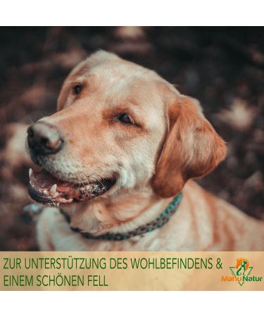 MAHU Natur Black Cumin Oil for Dogs - 100ml Unfiltered with 10% Coconut Oil | Sustainable Glass Bottle & Pipette - Optimal Health Booster - Buy Online on SooperMarket.com