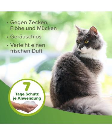 Beaphar Tick & Flea Protection Shampoo for Dogs & Cats - 250ml | 7 Days Repellent for Healthy Fur & Fresh Fragrance - International Shipping Available - Buy Online on SooperMarket.com
