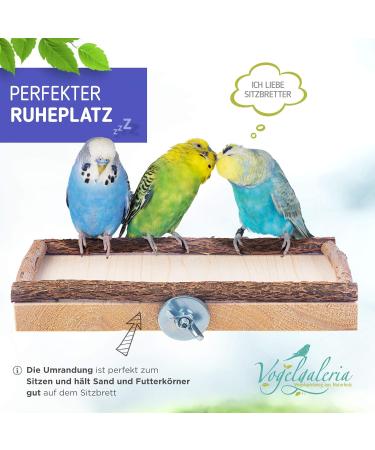 Premium Bird Gallery Perch - Quality Budgie Perches & Accessories for Bird Cages | International Shipping Available - Buy Online on SooperMarket.com