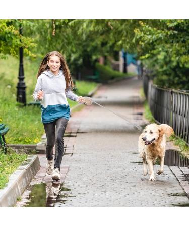 Beowanzk 5m Retractable Dog Leash for Small/Medium Dogs and Cats - One-Hand Brake Pause Lock (Gold) - Buy Online on SooperMarket.com