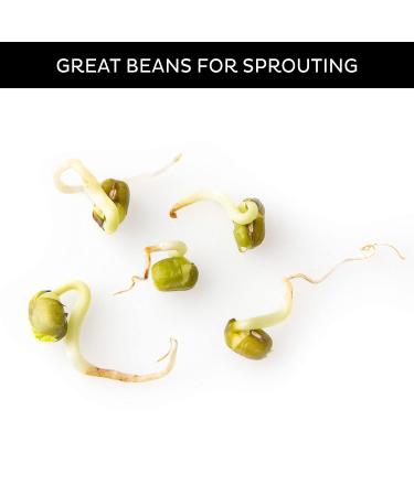 Oh! Nuts Mung Beans 5lb Bulk Bag - Sprouting Dried Kosher Moong Dal, Vegan Paleo Protein Packed Pantry Item - Green Lentils Stay-Fresh Keto Toor Dahl Bean - Buy Online on SooperMarket.com