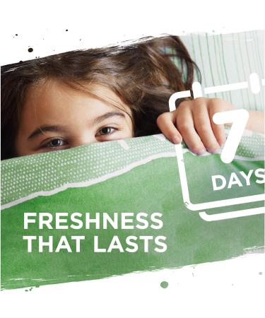 Persil Bio Laundry Detergent - 38 Washes, 1.026L | Stain Removal | 100% Recyclable Bottle - Buy Online on SooperMarket.com