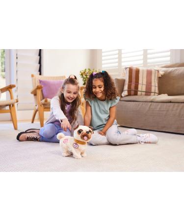 Pets Alive Poppy The Booty Shakin Pug Interactive Dancing Plush Puppy by ZURU - Fun & Entertaining Toy for Kids and Adults - Buy Online on SooperMarket.com