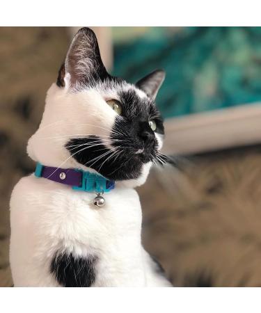 Kittyrama Cat & Kitten Neck Bands - Vogue Featured Vet Approved Hypoallergenic & Comfortable - Shop Now! - Buy Online on SooperMarket.com