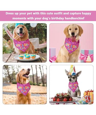 NPQ Pink Dog Birthday Bandana Adjustable Pet Birthday Bandana for Samll Dog Cat Pig Ect Your Pet's Special Day for Small Pets Birthday Party Supplies - Buy Online on SooperMarket.com