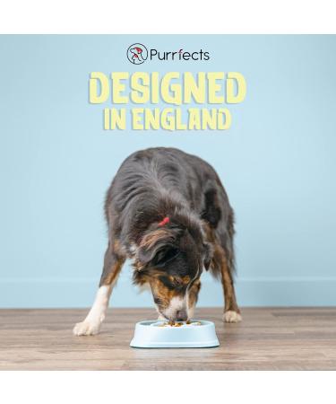 Purrfects Slow Feeder Dog Bowl (Sky Blue) - Anti Choke and Bloat - Dog Slow Feeder for Slower Feeding - Buy Online on SooperMarket.com