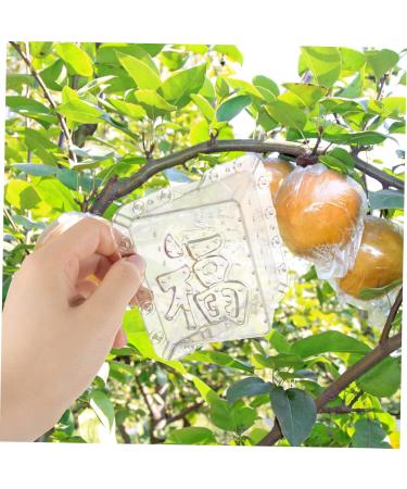 SUPVOX 2pcs for Growing Grow Tools Growth Shaped Forming Reusable Shape Fruit Shaping Plastic - Buy Online on SooperMarket.com