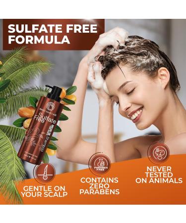 Moroccan Argan Oil Shampoo - Sulfate Free Hydrating Anti-Frizz Care for All Hair Types | Deep Moisturizing Treatment for Color Treated & Damaged Hair - Buy Online on SooperMarket.com