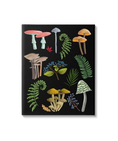 Stupell Industries Forest Mushrooms & Plants Canvas Wall Art by Regina Moore 24 x 30