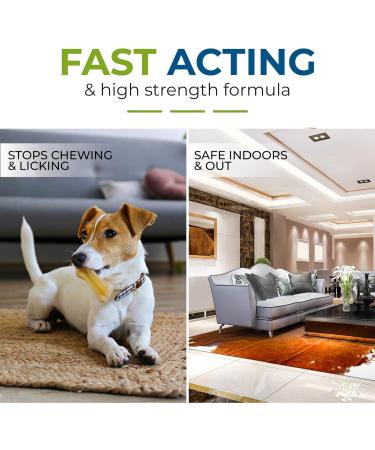 Buddy's Best Anti Chew Spray for Puppies & Dogs | Stop Chewing Training Spray | Deters Chewing & Biting | Fast-Acting & Safe Remedy | 250ml - Buy Online on SooperMarket.com