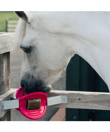 Bizzy Ball Horse Toy Black | Bizzy Lick Holder Reduce Boredom in Horses | Innovative Design | Peppermint Essential Oil included | 847g - Buy Online on SooperMarket.com