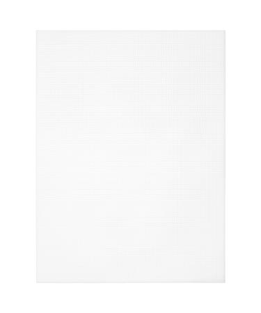 Cousin DIY 14 Count Perforated Plastic Stitching Canvas, 8.5"X11" 2/Pkg, White 2 Piece