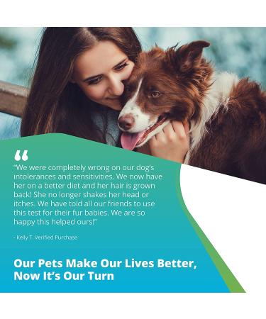 5Strands Pet Food Intolerance Test: At-Home Sensitivity Test for Dogs & Cats | 270 Items | Results in 7 Days - Protein, Grain, Fruit, Preservatives | Hair Analysis | Accurate for All Ages and Breeds - Buy Online on SooperMarket.com