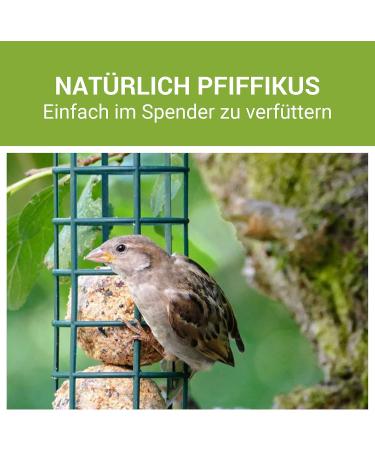 Pfiffikus Meisenkn del - 45 Sustainable Insect Fat Bird Feed Balls | Premium Year-Round Game Bird Nutrition - International Shipping - Buy Online on SooperMarket.com