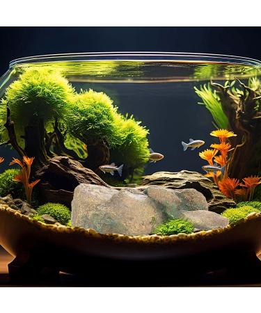 Ctpeng Aquarium Decoration Stone - Natural Look Decorative Rock & Hiding Place (25cm 13cm 7cm Resin) - Ideal Aquarium Accessories - Buy Online on SooperMarket.com