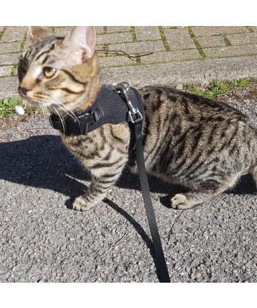 Outbreak-Proof Cat Dishes & Harnesses | Durable Cat Dish & Adjustable Harness for Cats & Small Dogs - Buy Online on SooperMarket.com