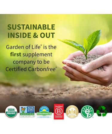 Garden of Life RAW Organic Meal Shake & Meal Replacement 18.3 oz | Nutritional Superfood - Buy Online on SooperMarket.com