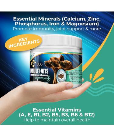 DR DOG Multivitamin for Dogs 60 Soft Chews - Essential Vitamins, Minerals & Antioxidants - Fussy Friendly & Tasty Treats - Made in UK - Buy Online on SooperMarket.com