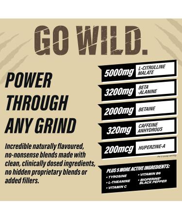 GRIZZLY PRE-WORKOUT ARCTIC ICE Strength Power Focus Caffeine Citrulline Beta-Alanine Arctic Ice 340 g (Pack of 1) - Buy Online on SooperMarket.com