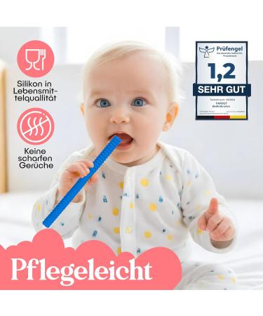 Bite Tube Set - 6 BPA-Free Silicone Dental Aids with 2 Cleaning Brushes for Baby Teething - Grayling & Violet Root Colors - Buy Online on SooperMarket.com