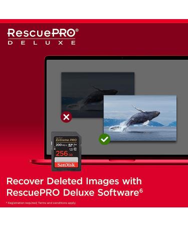 SanDisk 256GB Extreme PRO SDXC Memory Card - 4K UHD, C10, U3, V30 - Buy Online on SooperMarket.com