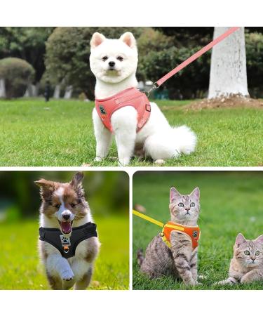 Adjustable Cat Leash Set with Reflective Vest for Kittens & Small Dogs - Polyester Black (Large) | International Shipping - Buy Online on SooperMarket.com
