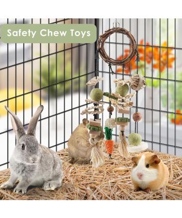 ERKOON Rabbit Hamster Hanging Chew Toys - Applewood Boredom Breaker with Grass Ball and Carrot Treats for Small Pets - Buy Online on SooperMarket.com