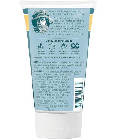 Burt's Bees Cooling Face Scrub for Men with Aloe & Hemp - 4 Ounces - Buy Online on SooperMarket.com