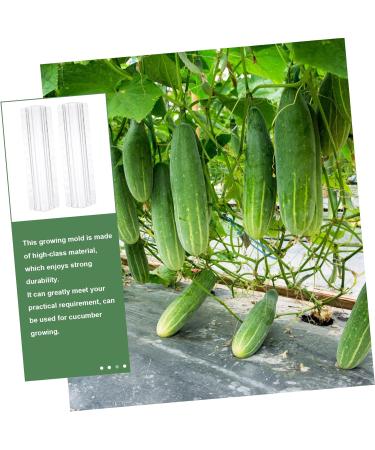 Milisten 15 Pcs Vegetable Shaping Mold Watermelon Forming Machine - Buy Online on SooperMarket.com