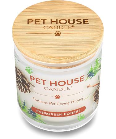 One for All Pet House Candle - Evergreen Forest | 100% Non-Toxic & Eco-Friendly Air Freshener | Remover for Home Odors - Buy Online on SooperMarket.com