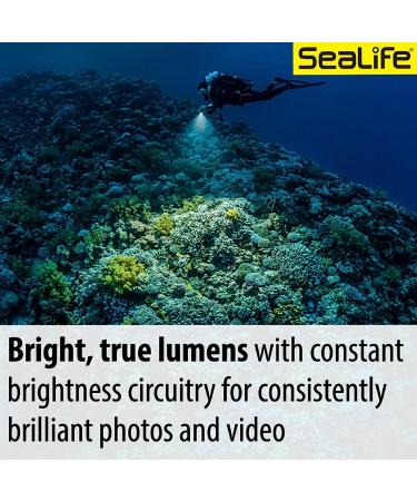 SeaLife Sea Dragon 3000SF Pro Dual Beam Underwater Scuba Light Kit (SL679) - Compact COB LED Photo-Video Lighting for Diving - Grip & Tray Included - Buy Online on SooperMarket.com