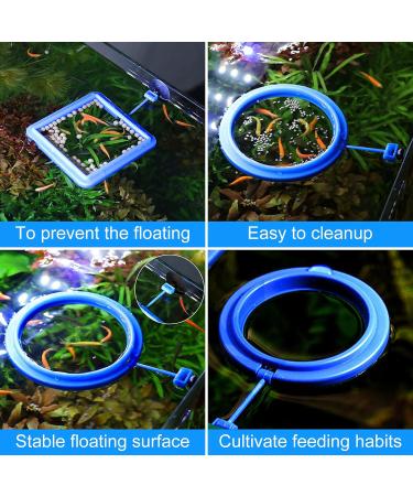 Molain Fish Feeding Ring 2 Pieces Fish Feeder Aquarium Fish Turtle Tank Accessories Food Feeder Circle For Guppy Bettas goldfish Turtle (Blue) - Buy Online on SooperMarket.com