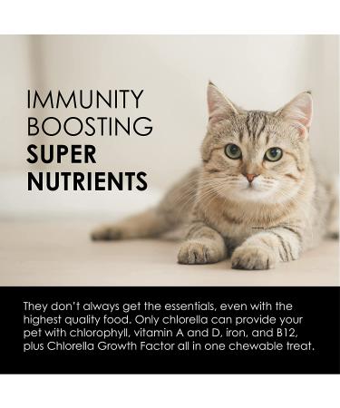 Sun Chlorella Rejuv-A-Wafers - Daily Superfood Supplement for Pets - Immune Defense & Gut Health Support - 60 Wafers - Buy Online on SooperMarket.com