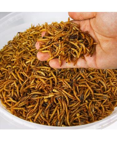 Superpet Dried Mealworms For Birds (5kg) 5 kg (Pack of 1)