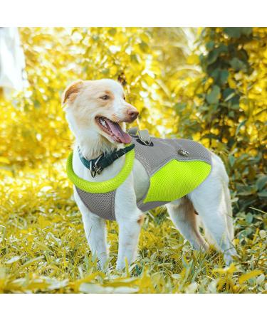 Hjyokuso Cool Vest for Dogs | Summer Cooling Jacket for Small Medium & Large Dogs | Ideal for Outdoor Activities & Training - Buy Online on SooperMarket.com