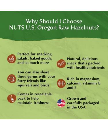 Oregon Hazelnuts (Filberts) - Raw & Unsalted | JUMBO SIZE | Steam Pasteurized, NON-GMO | No Shell, Just Kernels | 4 LB Resealable Bags - Buy Online on SooperMarket.com
