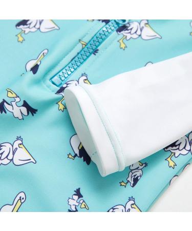 Bonverano Baby Boys Swimsuit UPF 50+ Long-Sleeve Pelican 6-9 Months - Buy Online on SooperMarket.com