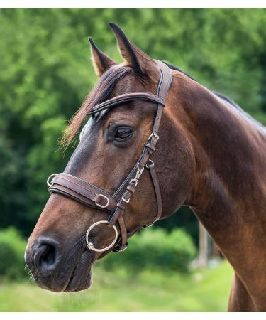 WALDHAUSEN Anatomic Leather Cavesson in Brown - Premium Horse Tack for Optimal Comfort | International Shipping Available - Buy Online on SooperMarket.com