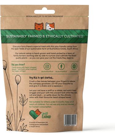 Premium Natural Catnip for Cats - Sustainably Grown in South Africa - Ethically Made Toy & Treat - Maximum Potency (1.05oz) - Buy Online on SooperMarket.com