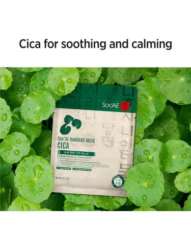 Soo AE Hanbang Cica Facial Mask - 12 EA | Soothing & Calming Korean Skincare Mask - Shop Internationally - Buy Online on SooperMarket.com