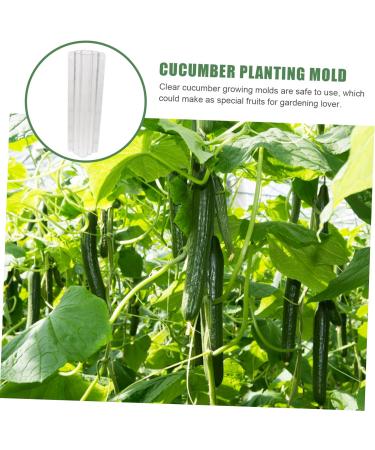 Balacoo 6 Pcs Vegetable Shaping Mold Planting Molds Strawberry Growing Mold Garden Watermelon Stereotypes - Buy Online on SooperMarket.com