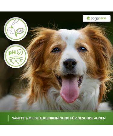 Bogacare Perfect Eye Cleaner for Dogs - Effective Tear Stain Remover | Safe & Non-Burning Formula | 100% Satisfaction Guaranteed - Buy Online on SooperMarket.com