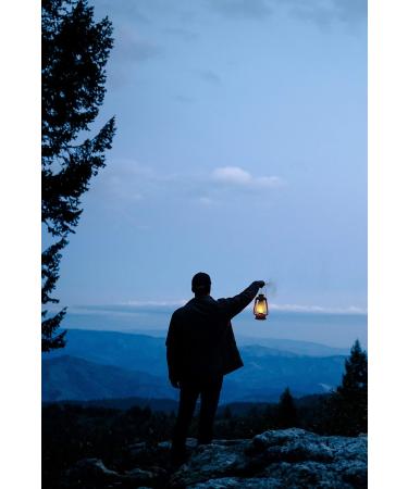 Stansport Replacement Lantern Wicks - 5 Pack | Quality Camping Supplies - Buy Online on SooperMarket.com