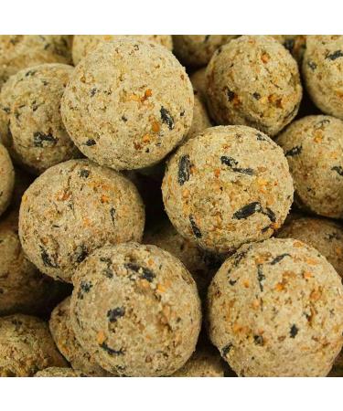 BusyBeaks Suet Fat Balls | Premium Garden Wild Bird Food | Enhanced Year-Round Formula | Naturally Blended High in Energy & Protein-Rich Feed | Full of Fresh Nutritious Fat Fibre & Moisture (10 Pack) 10 count (Pack of 1)