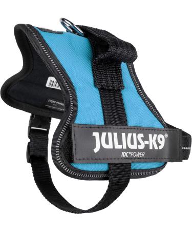 K9 Powerharness XS/Mini-Mini Aquamarine - Best Fit for Your Small Dog | International Shipping Available - Buy Online on SooperMarket.com