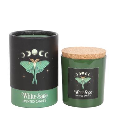 Luna moth white sage candle - sacred creatures in dark walks |vegan paraffin wax |25 hours of burning time |Soothing aromatherapy for home