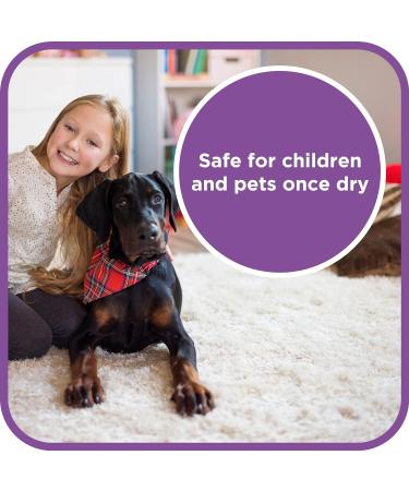 Pet Magic 5 Litre Pet Dog Carpet Cleaning Shampoo Solution | Tough on Stains and Odours | Suitable for all Machines | Fresh Linen Fragrance (1 Pack) - Buy Online on SooperMarket.com